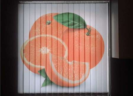 Вертикальные жалюзи с фотопечатью 